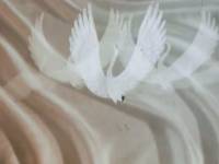 Журавлиные перья