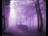 Михаил Бородин — Туман