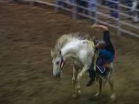 Страсти по родео