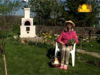 Саженцы плодовых деревьев