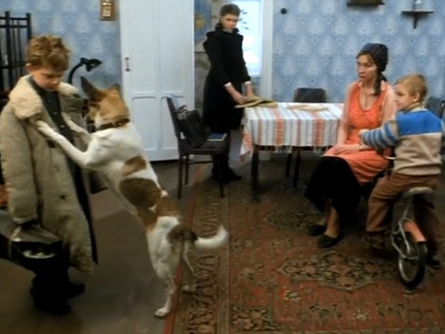 Опять двойка!