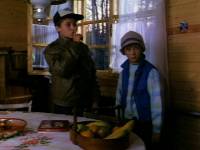 Попка — дурак