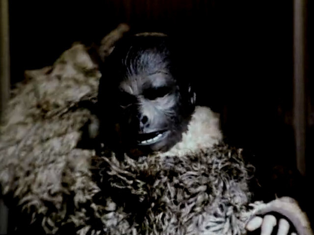 Кинг—конг жив!