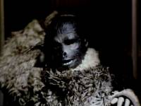 Кинг—конг жив!