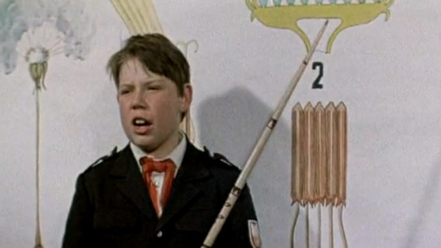 Одуванчик полевой