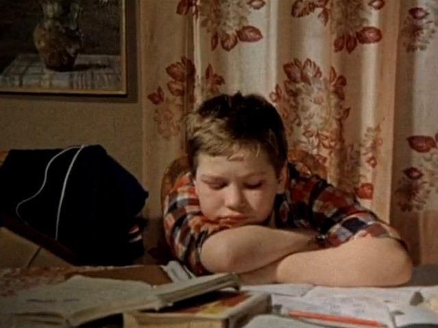 Подвиг инспектора