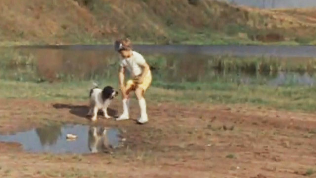 У меня была собака