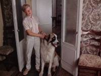 Друг человека