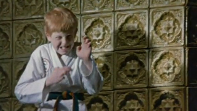 Гений каратэ