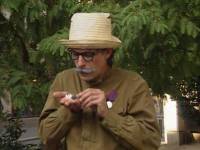 Птичку жалко