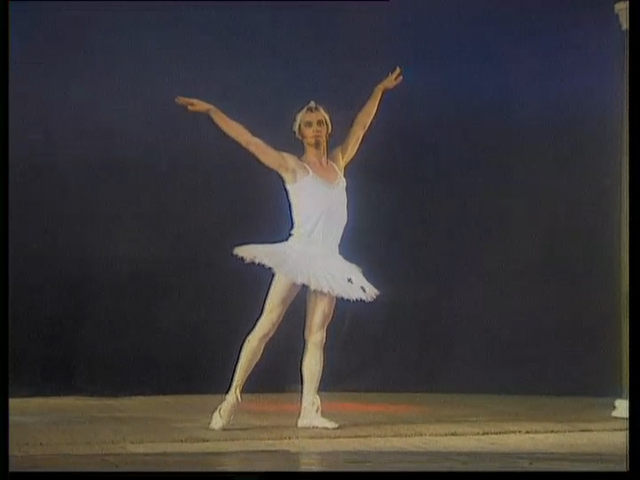 Лебединое озеро