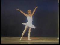 Лебединое озеро