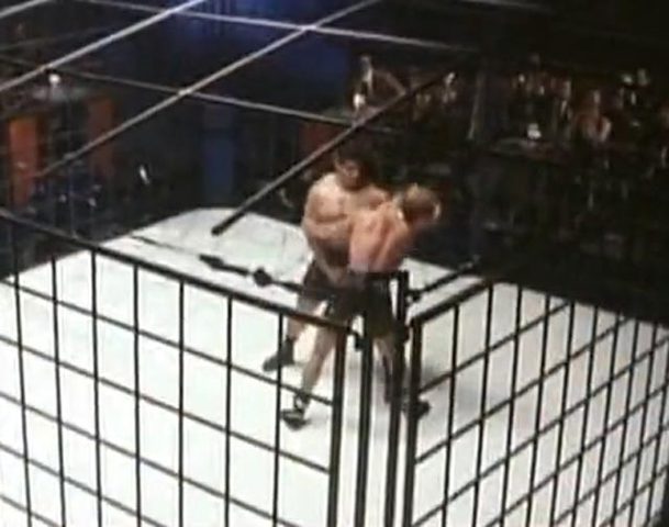 Клетка. Часть 2