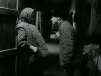 Замри — умри — воскресни