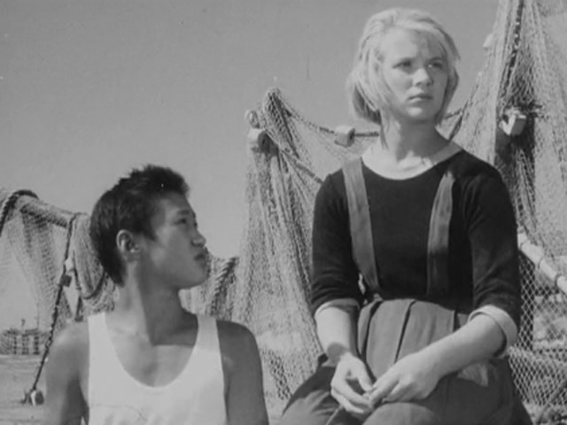 Дикая собака Динго