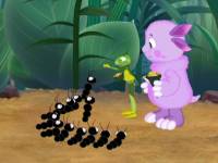 Дрессировка