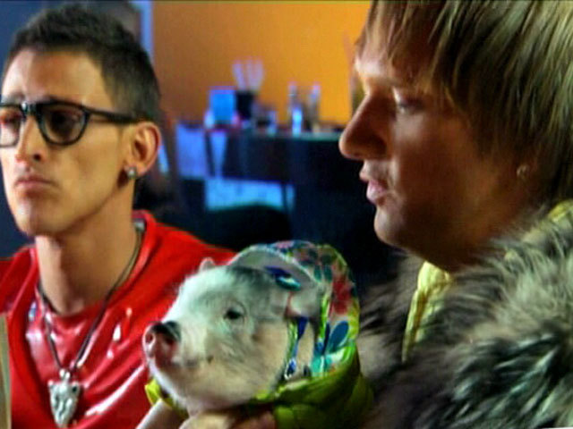 Моцарт по–свински