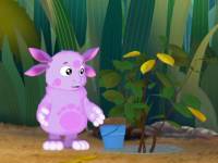 Желтые листочки