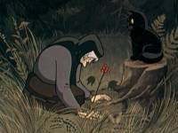 Седой медведь