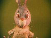 Зайка-зазнайка