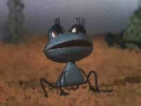 Лягушонок ищет папу