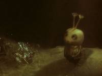 Рыбья упряжка