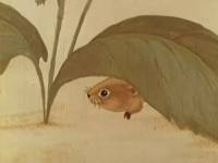 Мышонок Пик