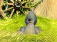 Первая охота