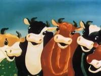 Кто пасется на лугу?