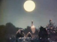 Как прекрасно светит сегодня луна