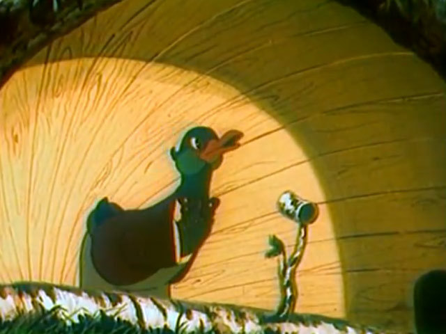 На лесной эстраде