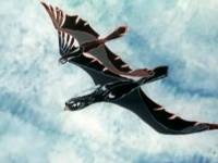 Прежде мы были птицами