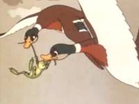 Лягушка-путешественница