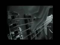 Муха — Сочетания