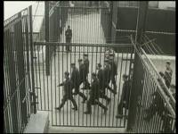 Степин Алексей - Долюшка-доля