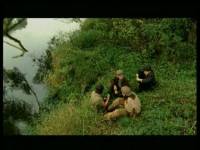 Дюмин Александр - Друзья