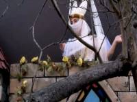 История любви