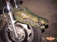 Закрытие байкерского сезона