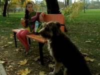 Скверный характер