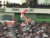 Мото-монстры