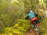 Не дай себя обогнать