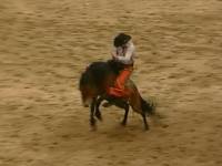 Сложный характер лошади