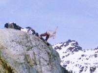 Подвиги сноубордиста