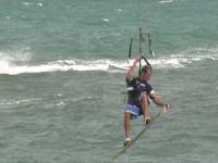 Летать и плавать