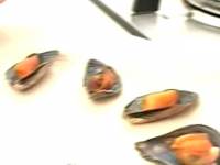 Мидии в овощном соусе