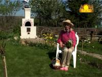 Подкормка овощей