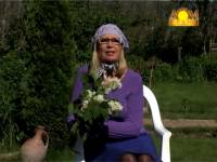 Серая гниль земляники