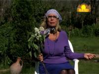 Защита от грызунов