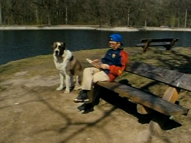 Гав—гав шоу