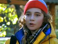 Железная логика